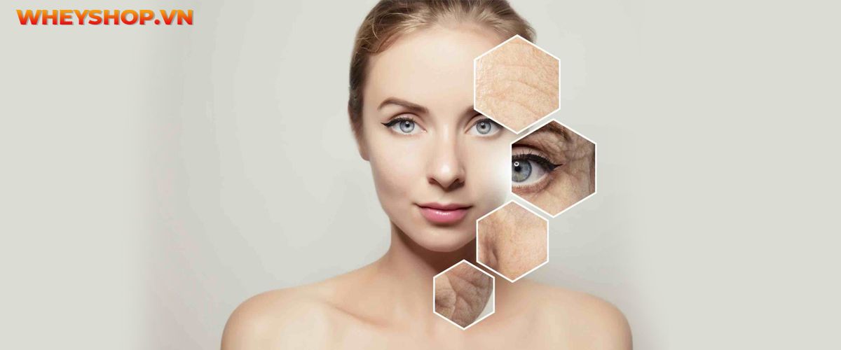 Chạy bộ là gì? Tác dụng của chạy bộ? Cùng WheyShop tìm hiểu ngay 25 lợi ích của việc chạy bộ thường xuyên bạn cần phải biết ....