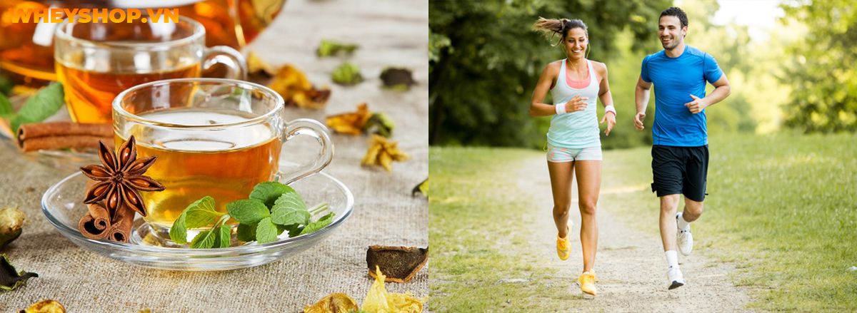 Trà xanh giảm cân hiệu quả không? Cùng WheyShop tìm hiểu ngay cách giảm cân với trà xanh hiệu quả qua bài viết....