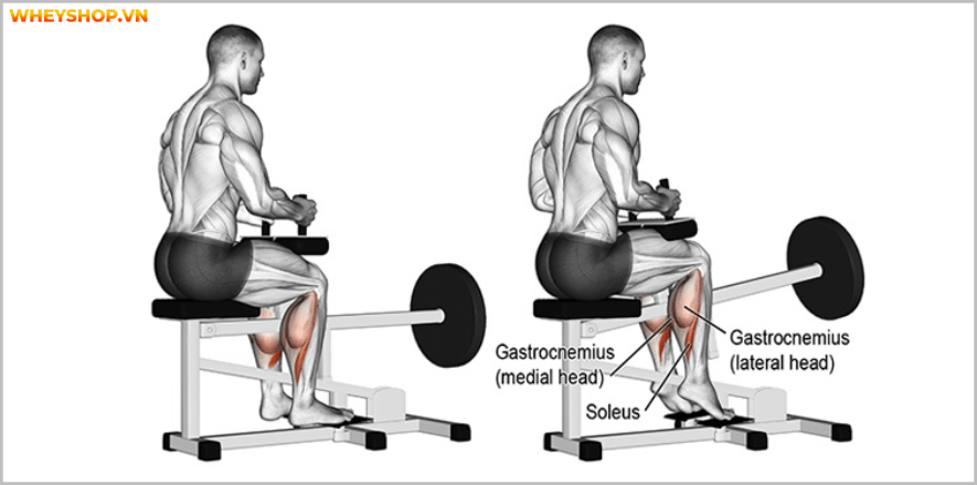 Các bài tập chân tốt nhất cho nam giới. Bạn sẽ bất ngờ với bài tập cuối cùng vô cùng đơn giản, hiệu quả nhưng chưa từng biết đến . Các bài tập chân ....