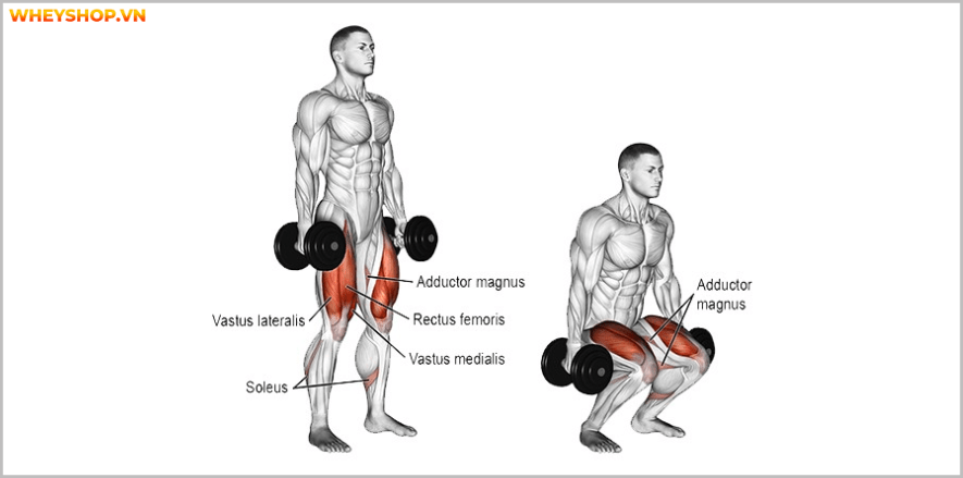 Các bài tập chân tốt nhất cho nam giới. Bạn sẽ bất ngờ với bài tập cuối cùng vô cùng đơn giản, hiệu quả nhưng chưa từng biết đến . Các bài tập chân ....
