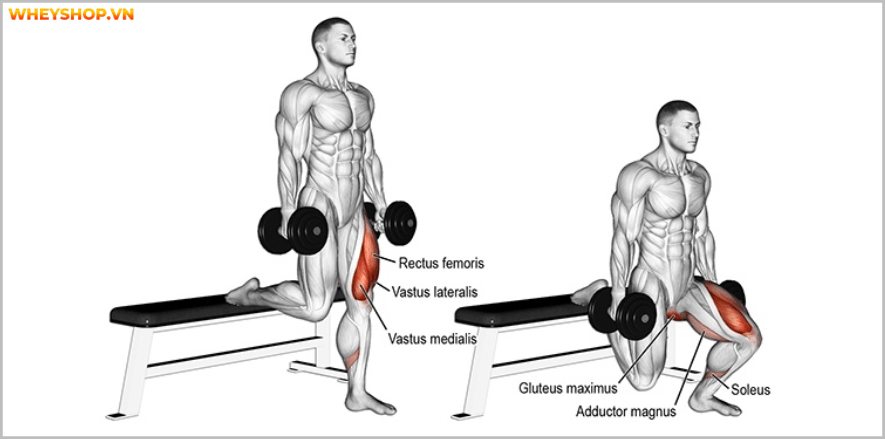 Các bài tập chân tốt nhất cho nam giới. Bạn sẽ bất ngờ với bài tập cuối cùng vô cùng đơn giản, hiệu quả nhưng chưa từng biết đến . Các bài tập chân ....