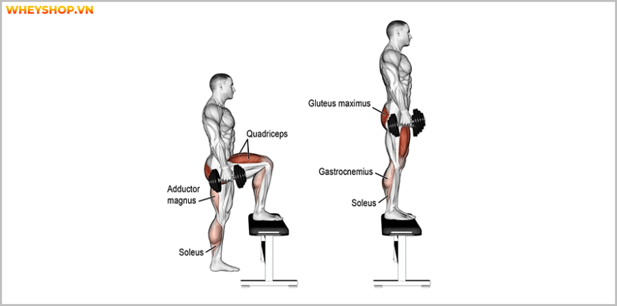 Các bài tập chân tốt nhất cho nam giới. Bạn sẽ bất ngờ với bài tập cuối cùng vô cùng đơn giản, hiệu quả nhưng chưa từng biết đến . Các bài tập chân ....
