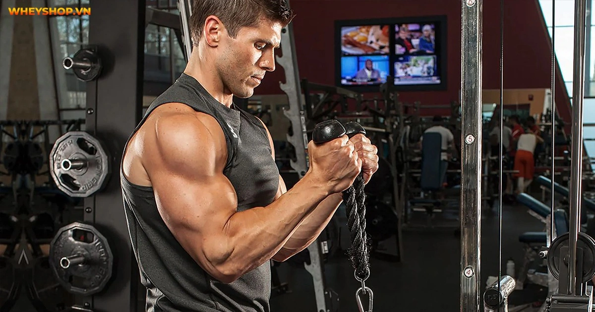 5-bai-tap-lung-xo-tay-truoc-hieu-qua-nhat