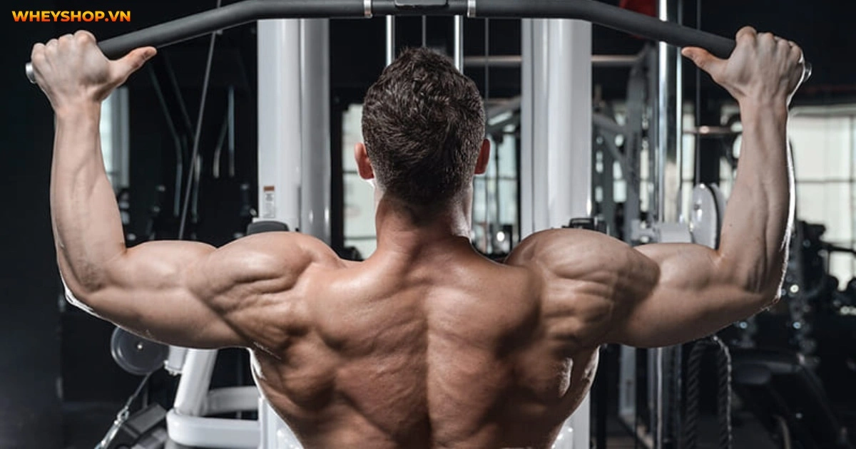 5-bai-tap-lung-xo-tay-truoc-hieu-qua-nhat