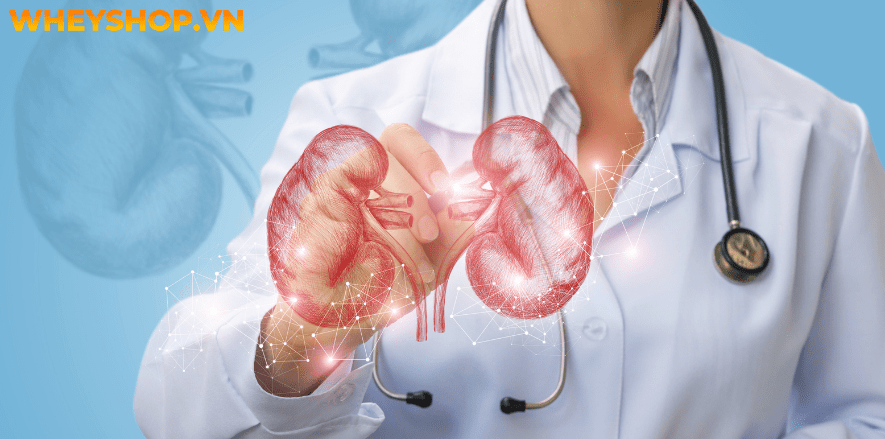 Chanh từ lâu đã được sử dụng như một loại quả hỗ trợ giảm cân hiệu quả. Bài viết dưới đây WheyShop sẽ giúp các bạn biết thêm 5 cách giảm cân bằng chanh tại...