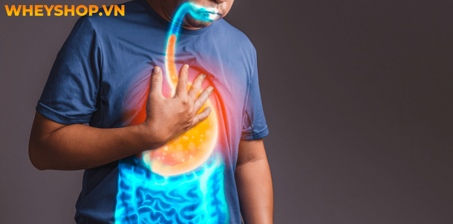 Chanh từ lâu đã được sử dụng như một loại quả hỗ trợ giảm cân hiệu quả. Bài viết dưới đây WheyShop sẽ giúp các bạn biết thêm 5 cách giảm cân bằng chanh tại...