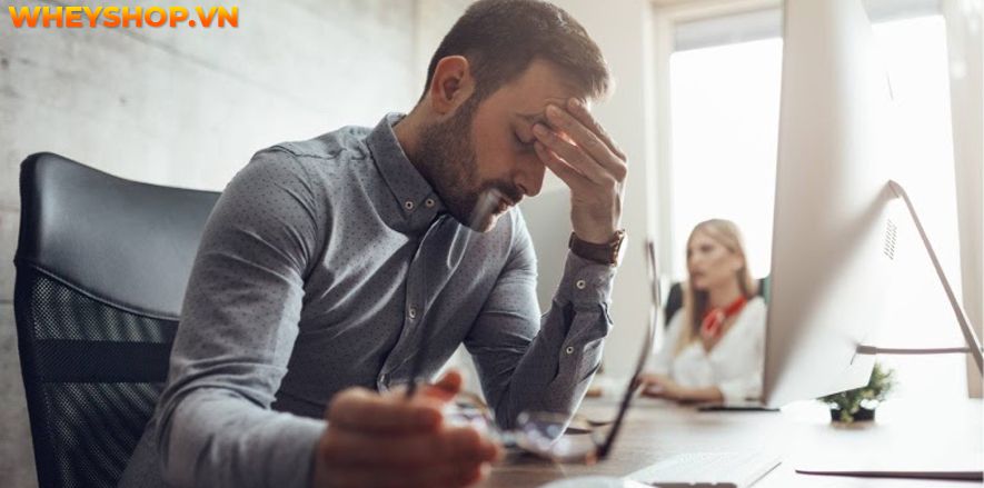 Nếu bạn đang băn khoăn tìm CÁCH TĂNG CÂN NHANH KHÔNG DÙNG THUỐC thì hãy cùng WheyShop tham khảo chi tiết bài viết ngay sau đây...