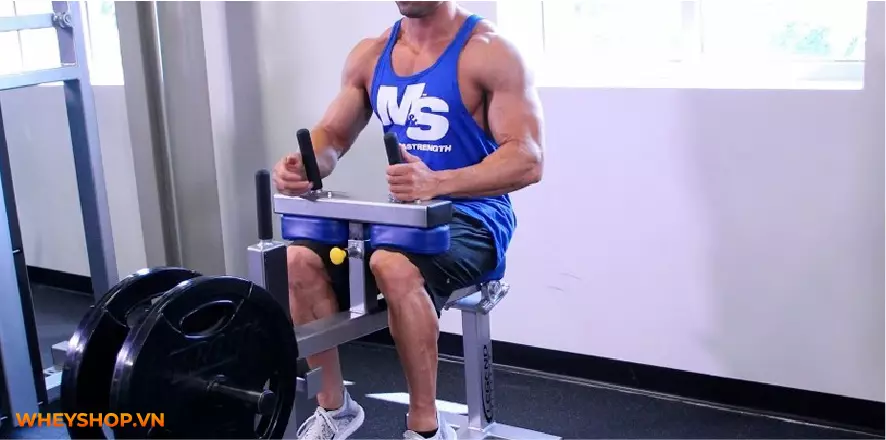 Cùng WheyShop tìm hiểu các bài tập chân to tại nhà, tập cơ chân, cơ bắp chân to nhanh hiệu quả, đơn giản với 5 bài tập sau, dễ dàng thực hiện, hiệu quả cao...