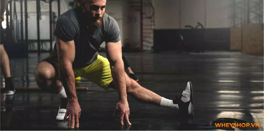 Cùng WheyShop tìm hiểu các bài tập chân to tại nhà, tập cơ chân, cơ bắp chân to nhanh hiệu quả, đơn giản với 5 bài tập sau, dễ dàng thực hiện, hiệu quả cao...