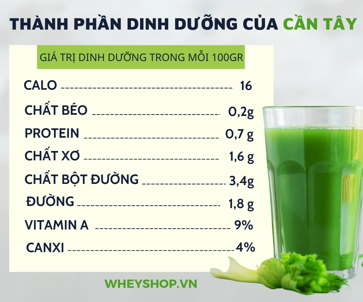Nếu bạn đang băn khoăn tìm cách giảm cân bằng cần tây thì hãy cùng WheyShop tham khảo top 5 công thức giảm cân bằng cần tây tốt nhất...