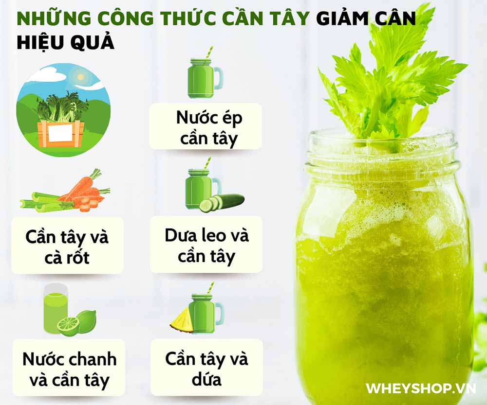 Nếu bạn đang băn khoăn tìm cách giảm cân bằng cần tây thì hãy cùng WheyShop tham khảo top 5 công thức giảm cân bằng cần tây tốt nhất...