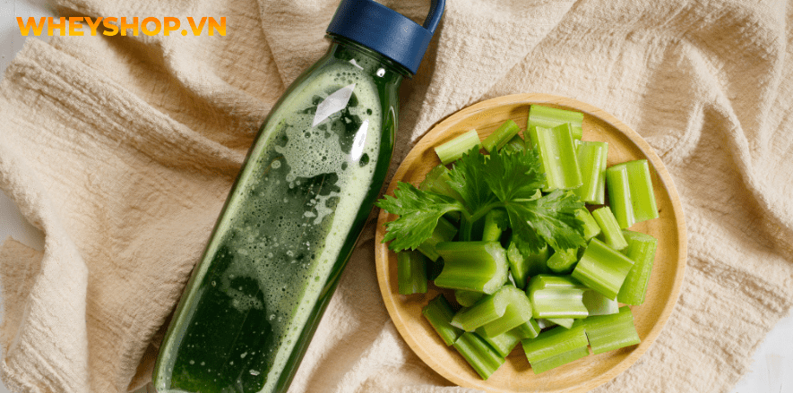 Nếu bạn đang băn khoăn tìm cách giảm cân bằng cần tây thì hãy cùng WheyShop tham khảo top 5 công thức giảm cân bằng cần tây tốt nhất...