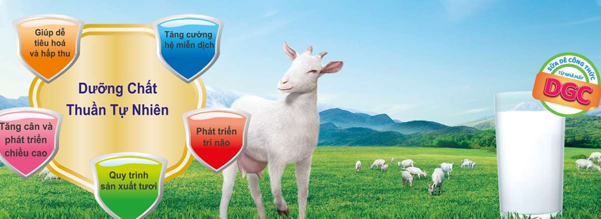 5 loai sua tang can hieu qua cho nguoi gay sua de