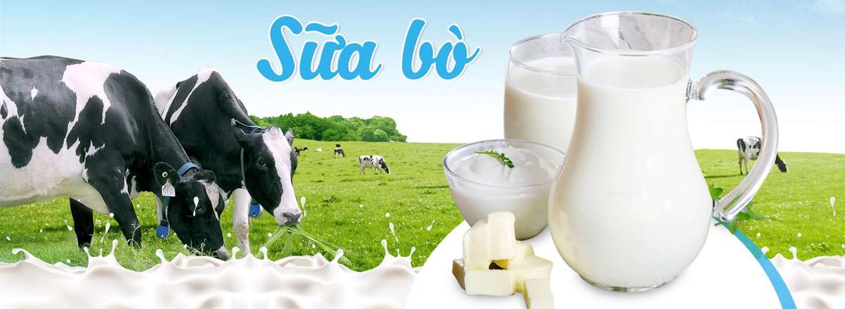 5 loai sua tang can hieu qua cho nguoi gay