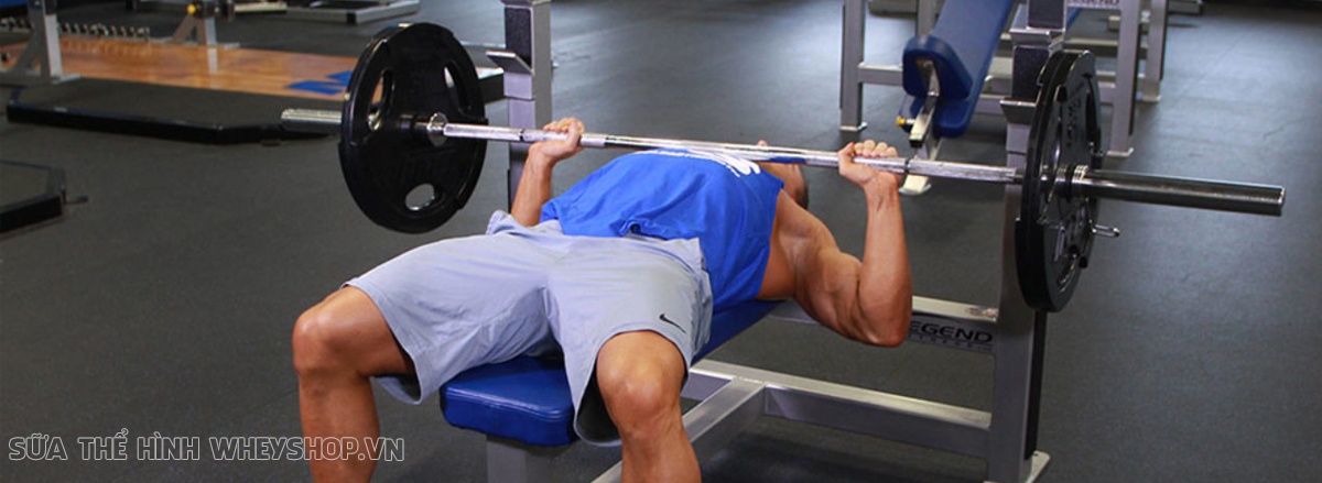 Nếu bạn tập ngực thời gian dài nhưng không phát triển. Khả năng cao bạn đã mắc phải 1 hoặc nhiều lý do lỗi sai khi tập ngực trong bài viết sau ...