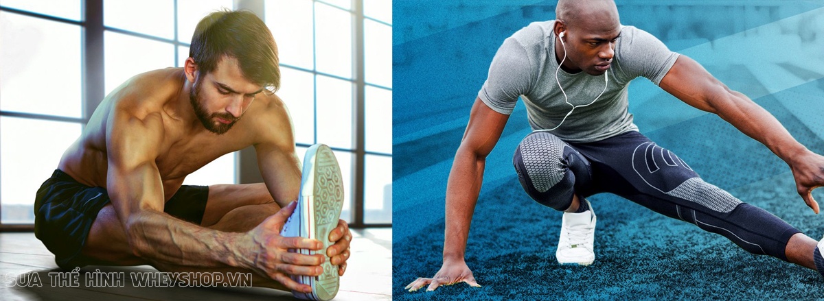 Nếu bạn tập ngực thời gian dài nhưng không phát triển. Khả năng cao bạn đã mắc phải 1 hoặc nhiều lý do lỗi sai khi tập ngực trong bài viết sau ...