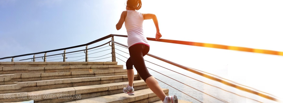 5 ly do leo cau thang giam can la bai tap tot nhat leo cau thang dot calo