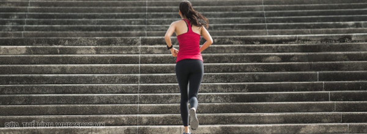 5 ly do leo cau thang giam can la bai tap tot nhat leo cau thang dung cach