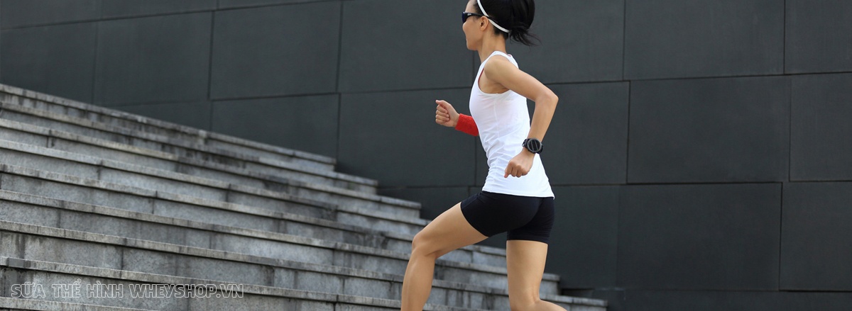 5 ly do leo cau thang giam can la bai tap tot nhat tang cuong suc manh