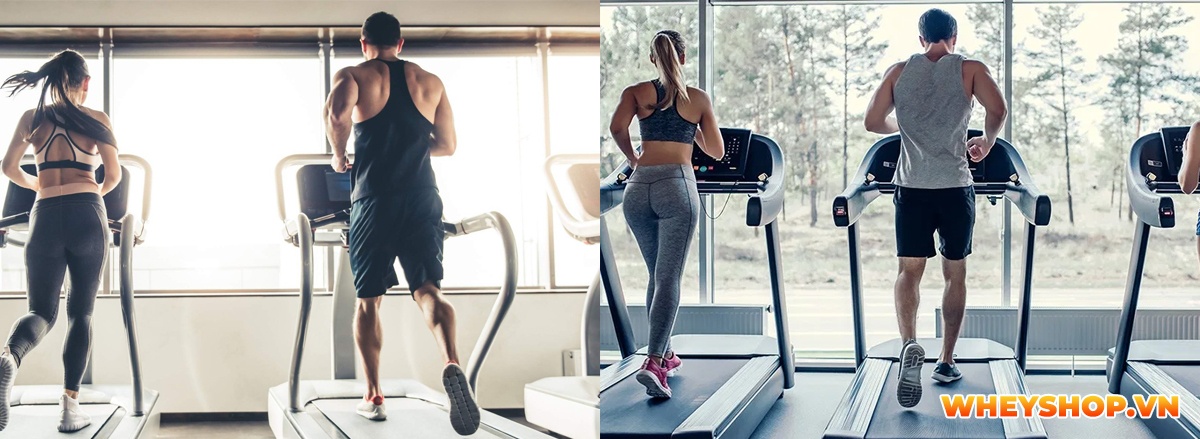 Chỉ cần tới phòng gym là có cơ bắp? Tuy nhiên thực tế kết quả lại không như mong đợi. Tìm hiểu ngay bạn có đang mắc phải 5 lý do khiến tập mãi mà không lên cơ không nhé