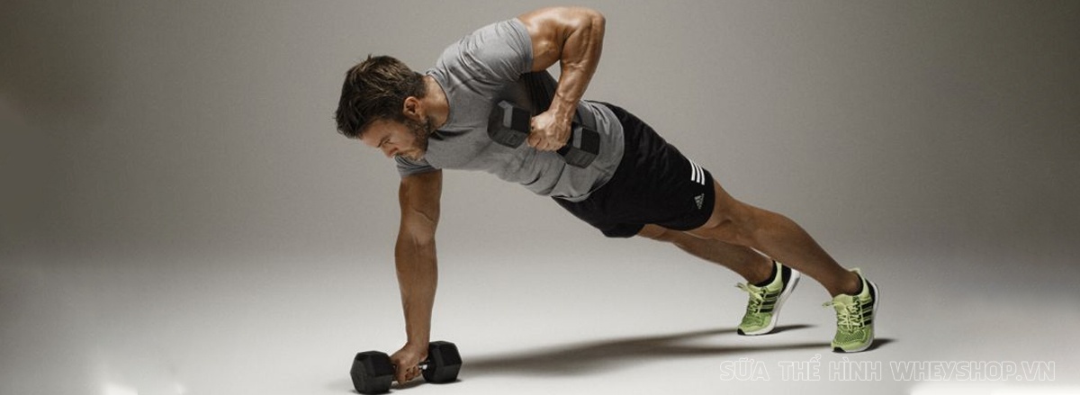 Cùng WheyShop tìm hiểu ngay top 50 bài tập Plank hỗ trợ phát triển cơ bụng, giảm mỡ hiệu quả, dễ dàng thực hiện tại nhà ...
