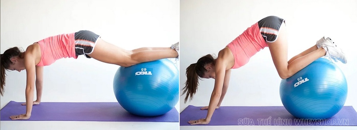 Cùng WheyShop tìm hiểu ngay top 50 bài tập Plank hỗ trợ phát triển cơ bụng, giảm mỡ hiệu quả, dễ dàng thực hiện tại nhà ...