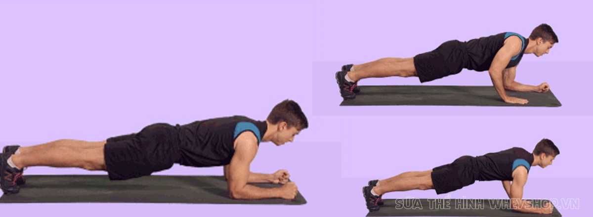 Cùng WheyShop tìm hiểu ngay top 50 bài tập Plank hỗ trợ phát triển cơ bụng, giảm mỡ hiệu quả, dễ dàng thực hiện tại nhà ...