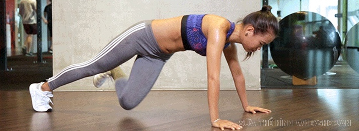 Cùng WheyShop tìm hiểu ngay top 50 bài tập Plank hỗ trợ phát triển cơ bụng, giảm mỡ hiệu quả, dễ dàng thực hiện tại nhà ...