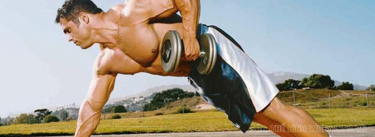 Cùng WheyShop tìm hiểu ngay top 50 bài tập Plank hỗ trợ phát triển cơ bụng, giảm mỡ hiệu quả, dễ dàng thực hiện tại nhà ...