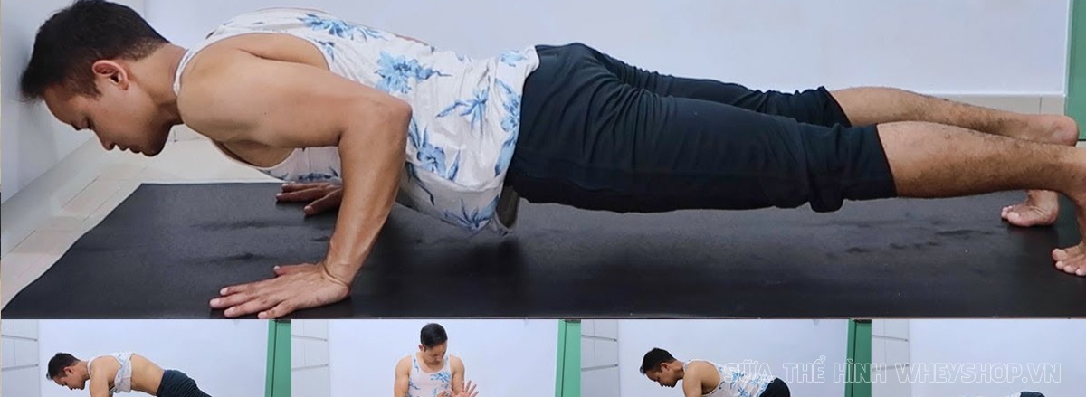 Cùng WheyShop tìm hiểu ngay top 50 bài tập Plank hỗ trợ phát triển cơ bụng, giảm mỡ hiệu quả, dễ dàng thực hiện tại nhà ...