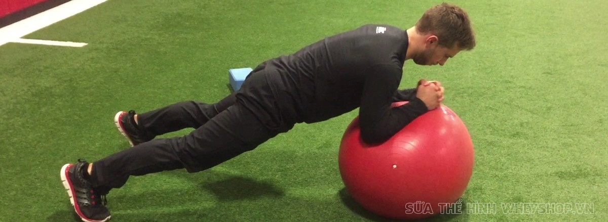 Cùng WheyShop tìm hiểu ngay top 50 bài tập Plank hỗ trợ phát triển cơ bụng, giảm mỡ hiệu quả, dễ dàng thực hiện tại nhà ...