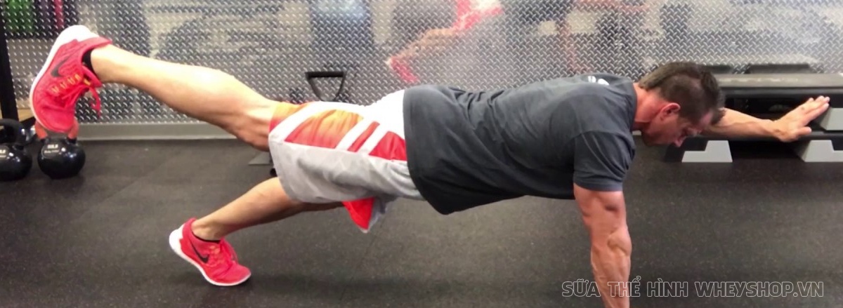 Cùng WheyShop tìm hiểu ngay top 50 bài tập Plank hỗ trợ phát triển cơ bụng, giảm mỡ hiệu quả, dễ dàng thực hiện tại nhà ...