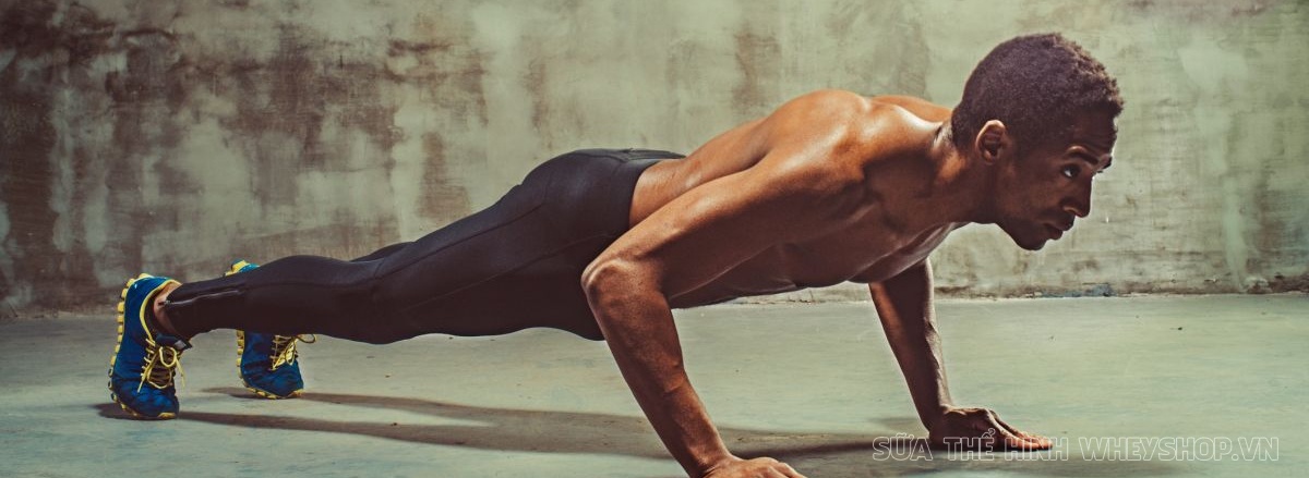 Cùng WheyShop tìm hiểu ngay top 50 bài tập Plank hỗ trợ phát triển cơ bụng, giảm mỡ hiệu quả, dễ dàng thực hiện tại nhà ...