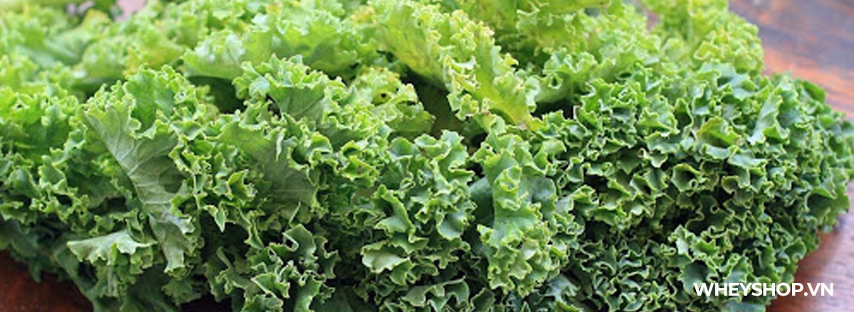 Tổng hợp danh sách 50 thực đơn low carb giảm cân hiệu quả, nhanh chóng , an toàn trong 7 ngày dành cho tất cả mọi người dễ dàng thực hiện ...