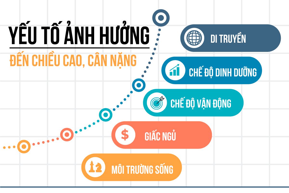 Bạn đang thắc mắc chiều cao cân nặng của mình có đang là lý tưởng? Tham khảo bảng chiều cao cân nặng chuẩn của nam nữ qua bài viết...