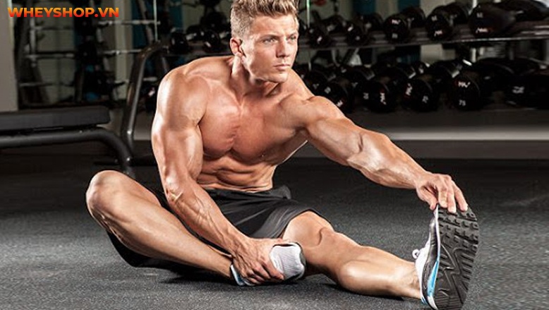 Bạn đã biết về khóa khớp là gì chưa? Khóa khớp có nguy hiểm không? Tìm hiểu ngay những tác hại và cách phòng tránh khóa khớp qua bài viết...