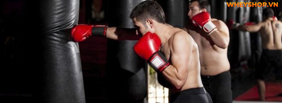 Nếu bạn đang đau đầu với cân nặng, không có thời gian tập luyện thì hãy cùng WheyShop tham khảo 20+ bài tập giảm mỡ toàn thân tại nhà đơn giản, hiệu quả cao...