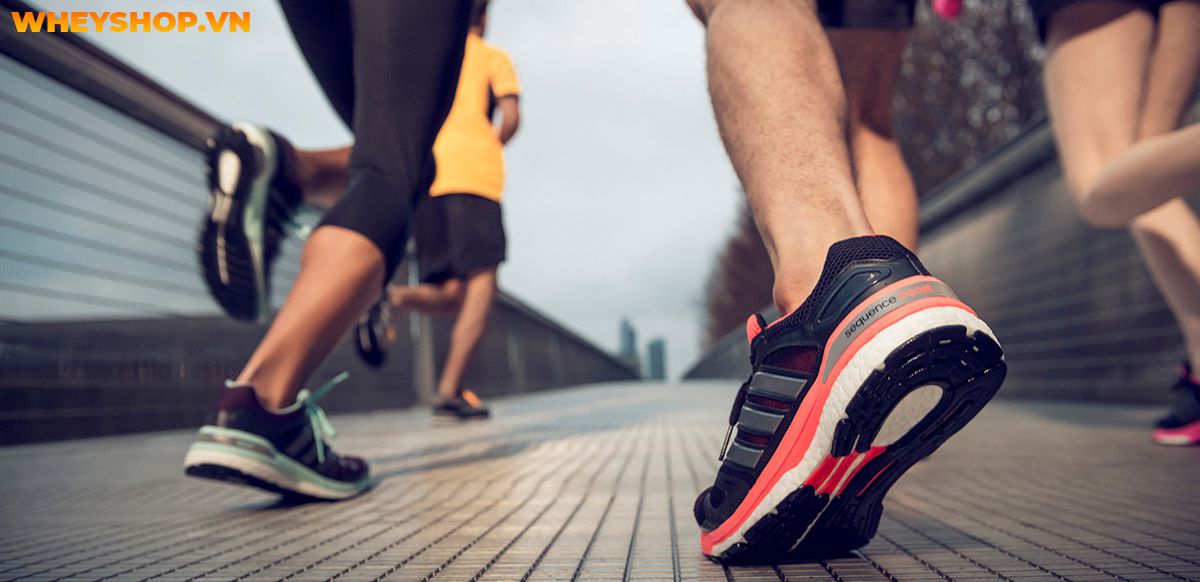 Nếu bạn đang băn khoăn trong việc tìm kiếm giày chạy bộ adidas phù hợp thì hãy cùng WheyShop điểm qua top 15 giày chạy bộ adidas trong bài..