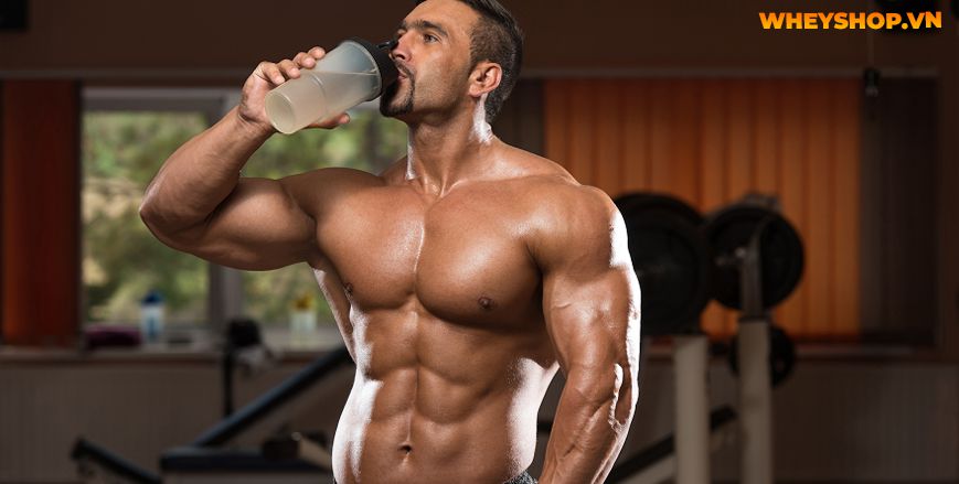 Nếu bạn đang phân vân trong việc tìm cách uống nước giảm cân thì hãy cùng WheyShop tham khảo ngay 5 cách lên lịch uống nước giảm cân...