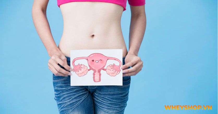Bụng dưới to bất thường có thể là dấu hiệu cảnh báo cho thấy tình trạng sức khỏe của bạn đang gặp vấn đề. Cùng WheyShop tìm hiểu ngay chi tiết..