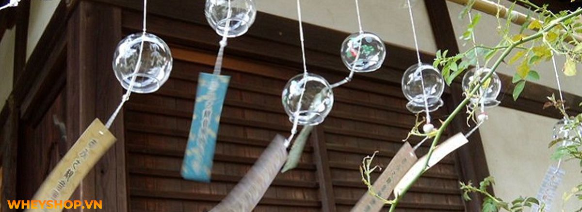 Tháng cô hồn là gì? Cùng WheyShop tìm hiểu về tháng cô hồn và những điều TUYỆT ĐỐI KHÔNG ĐƯỢC LÀM trong tháng cô hồn nhé...