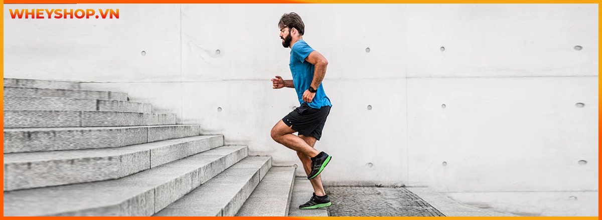 Tham khảo ngay 10 Bài tập Cardio tại nhà cho nữ đơn giản, hiệu quả, hỗ trợ đốt cháy calories giảm cân nhanh chóng lấy lại vóc dáng hiệu quả.