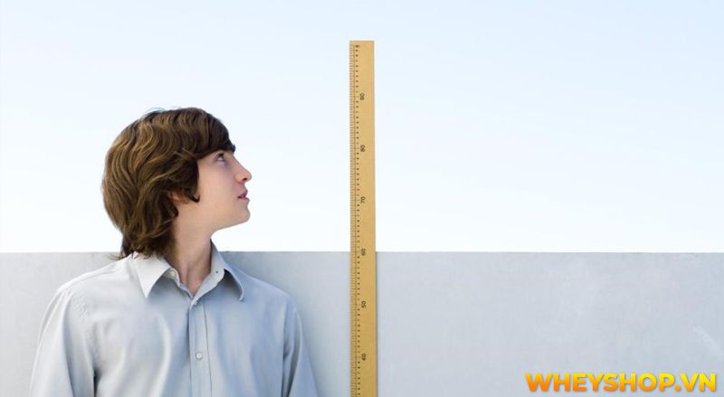 Có nhiều kiểu bơi khác nhau, với các kỹ thuật từ dễ đến nâng cao. Bạn đã bao giờ thử bơi ngửa chưa? Đây là một kiểu bơi độc đáo nhưng lại khá khó, tuy nhiên...
