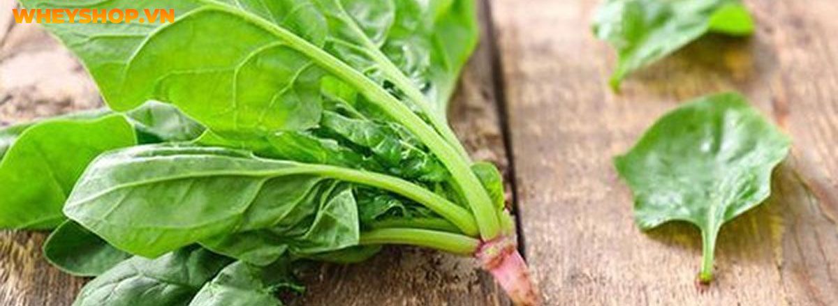 Tìm hiểu vai trò của thực phẩm giàu chất xơ đối với sức khỏe và top 30 thực phẩm giàu chất xơ tốt nhất mà WheyShop chia sẻ trong bài viết...