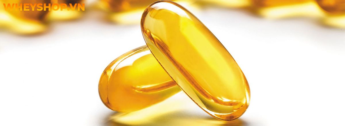 DHA là gì? Vai trò của DHA với sức khỏe và người tập thể hình là gì? Hãy cùng WheyShop tìm hiểu chi tiết nội dung qua bài viết sau đây nhé...