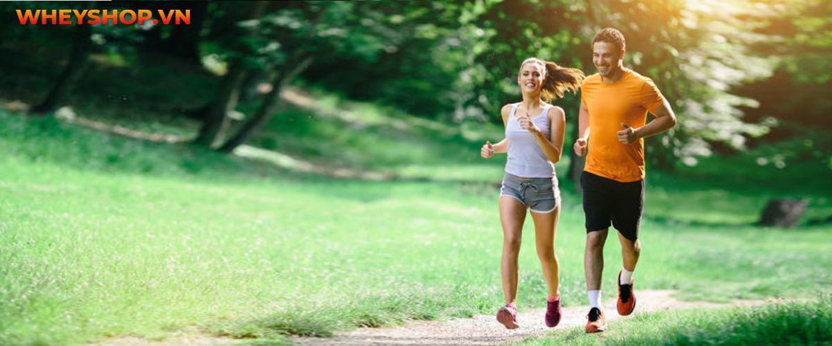 Chạy bộ là gì? Tác dụng của chạy bộ? Cùng WheyShop tìm hiểu ngay 25 lợi ích của việc chạy bộ thường xuyên bạn cần phải biết ....