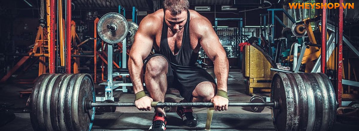 Nếu bạn đang đau đầu với cân nặng, không có thời gian tập luyện thì hãy cùng WheyShop tham khảo 20+ bài tập giảm mỡ toàn thân tại nhà đơn giản, hiệu quả cao...