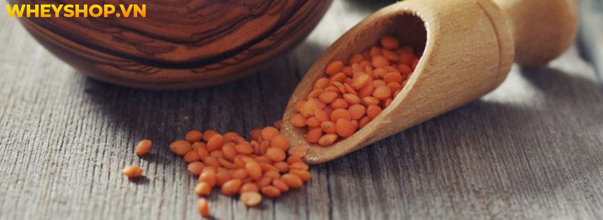 Nếu bạn đang băn khoăn tìm kiếm thực phẩm giàu chất xơ giảm cân thì hãy cùng WheyShop điểm qua 30 thực phẩm giàu chất xơ giảm cân trong bài..