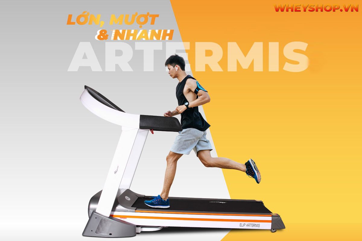 Nếu bạn đang thắc mắc nên mua máy chạy bộ Elip hay Kingsport thì tham khảo ngay bài viết review đánh giá chi tiết các máy chạy bộ...