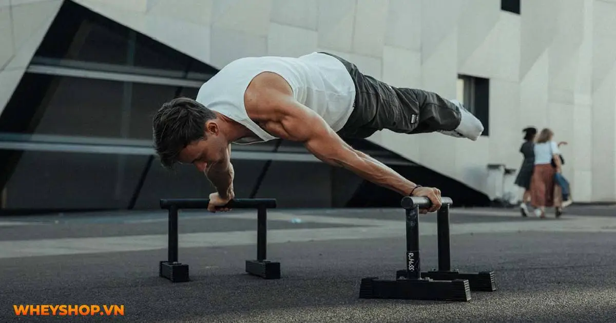 7-bai-tap-calisthenics-cho-nguoi-moi-bat-dau-04